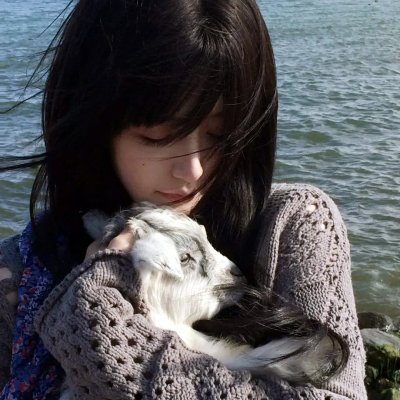 彩虹族